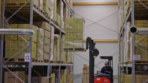 Male Worker Powered Industrial Forklift Truck Lifting Moving Boxes Warehouse — Stock Video