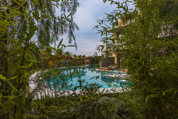 Vacker Utsikt Över Moderna Hotell Med Pool Genom Gröna Växter — Stockfoto