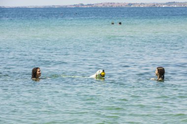 Güzel kadın manzarası ve köpekleri denizde yüzüyor. Yunanistan. Avrupa. 08.25.2021.