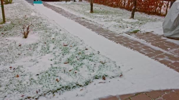 Sokakta Kürekle Kar Temizleyen Birini Görüyorum Kış Mevsimi Konsepti Sveç — Stok video