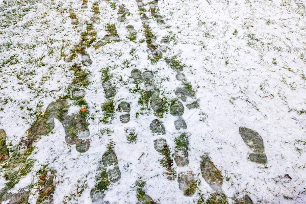 Piękny Widok Ślady Stóp Zimowej Zielonej Trawie Pod Śniegiem Szwecja — Zdjęcie stockowe