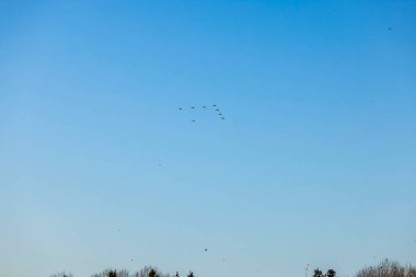 Parlak kış gününde mavi gökyüzünde askeri uçakların noel ağacı silueti inşa edişinin güzel manzarası. İsveç. 