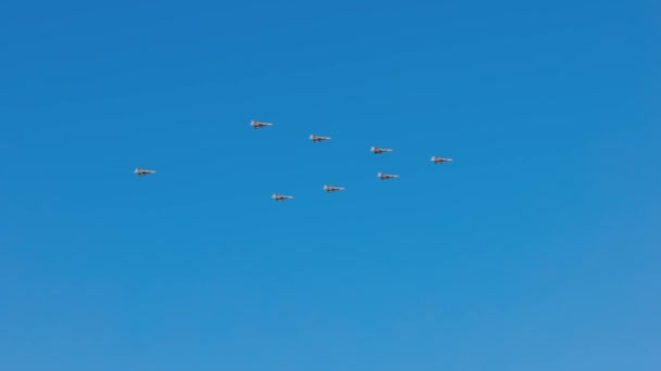 Beautiful View Military Airplanes Building Christmas Tree Silhouette Blue Sky — Stock Video