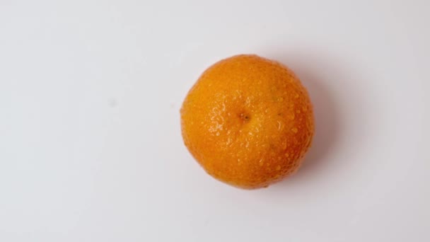 Vue Rapprochée Fruits Clémentine Orange Mûrs Rotation Lente Avec Gouttes — Video