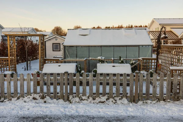 雪の庭の裏庭のビューを閉じます 冬のコンセプト スウェーデン — ストック写真