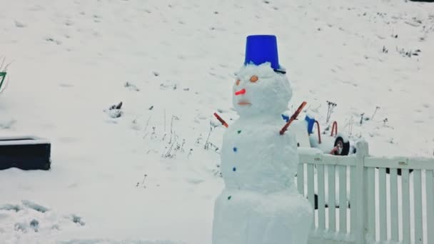 Beautiful View Funny Snowman Removal Made Children Winter Garden Beautiful — Stock video