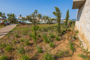 Havuzu ve turistlerin mavi gökyüzü arka planında kumsalda olduğu güzel bir bölge otel manzarası. Yunanistan. 