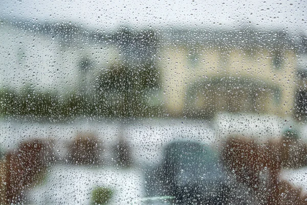 창문에 빗방울이 보이는 매크로 닫으세요 자연의 아름다운 스웨덴 — 스톡 사진