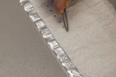 Domates tohumlarının filizlenmesine ilişkin teknolojik görüşü kapatın. İsveç.