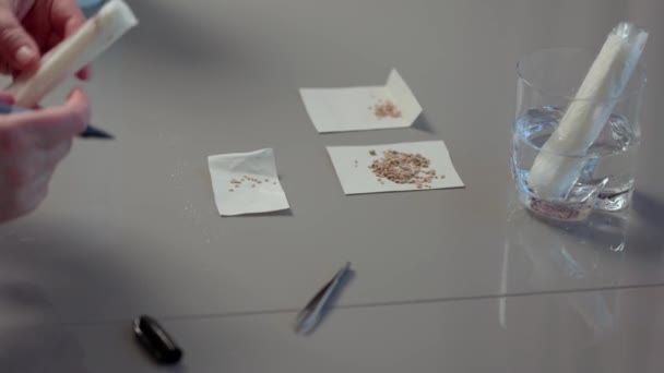 Vue Rapprochée Des Mains Féminines Préparant Les Graines Tomate Pour — Video