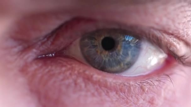 Крупним Планом Вид Частини Обличчя Людини Блакитними Очима — стокове відео