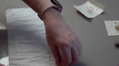 Baharın başında ekilecek domates tohumlarını hazırlayan kadın ellerine yakından bakın. İsveç.