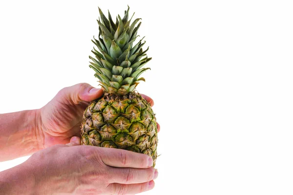Närbild Händer Som Håller Ananas Frukt Vit Bakgrund — Stockfoto
