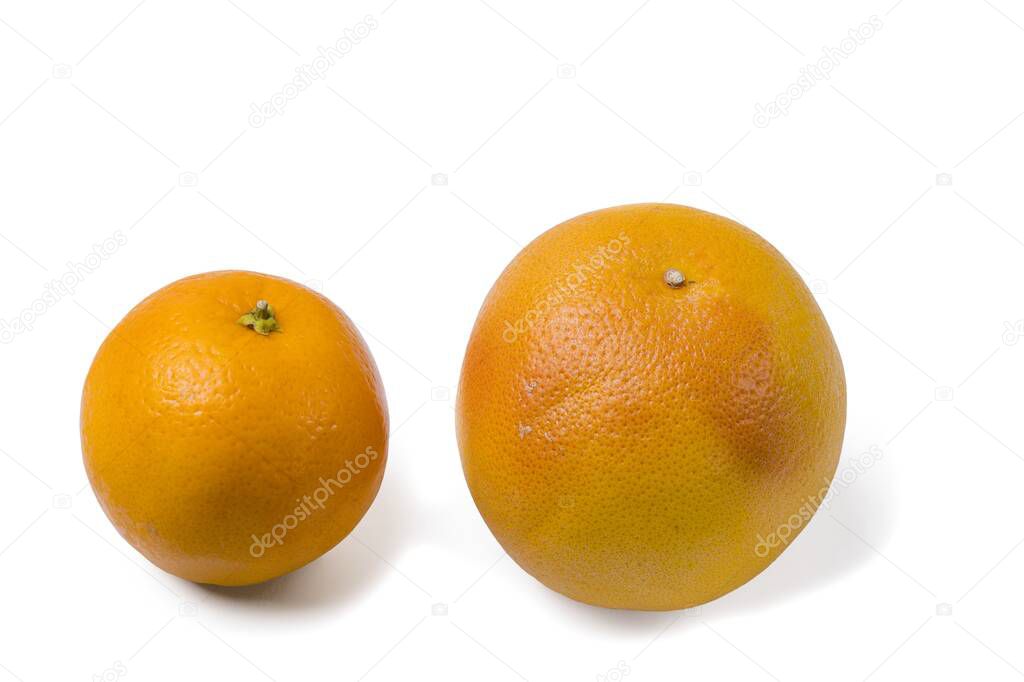 Close up view of ripe grapefruit and orange isolation on white background.