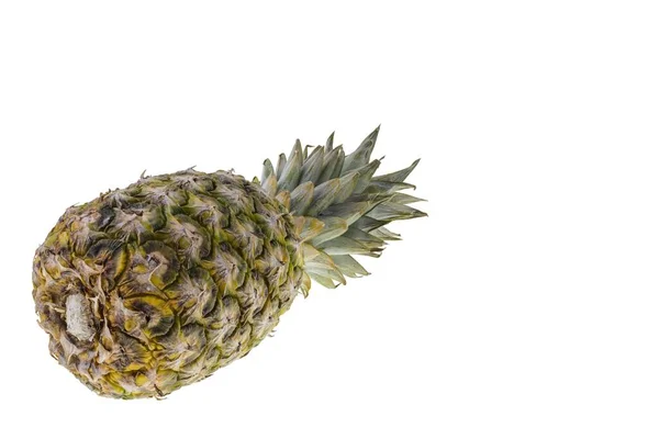 Nahaufnahme Der Ananas Isoliert Auf Weißem Hintergrund — Stockfoto