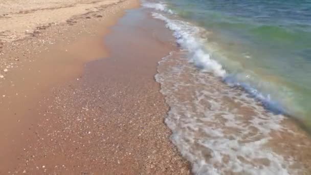 Gorgeous View Foamy Waves Sand Coast Mediterranean Sea Rolling Coast — ストック動画