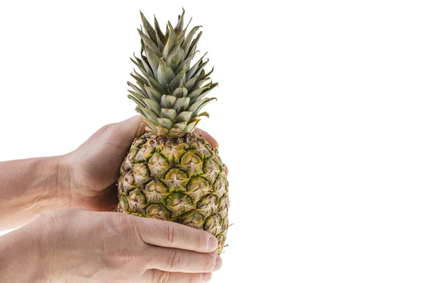Close Zicht Handen Van Mens Houden Ananas Geïsoleerd Witte Achtergrond — Stockfoto