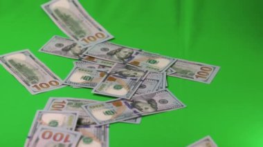 Dolar banknotlarının yeşil arka plana düşüşünü gösteren kısa film. Ekonomi nakit para konsepti. İsveç. 