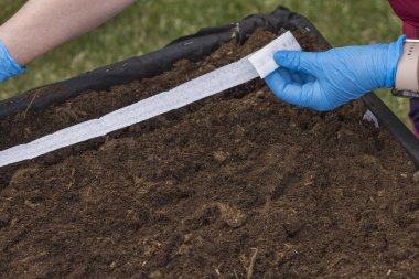 Close up view of planting of seeds on paper tape process. Sweden. 