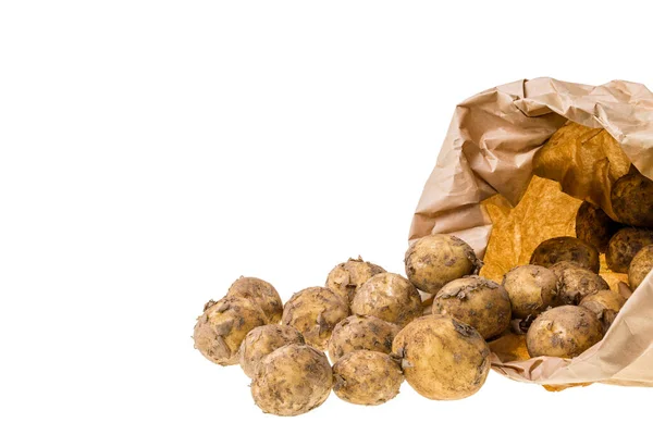 View Fresh Potatoes Paper Bag Isolated White Background First Harvest — Stock Photo, Image