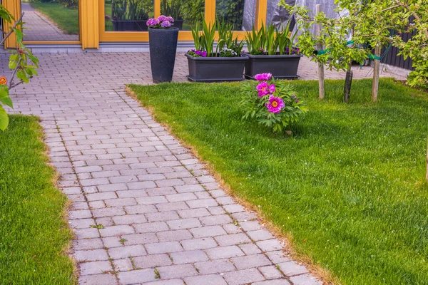 Bella Vista Sul Giardino Con Aiuole Germoglianti Gladiolo Ortensie Altri — Foto Stock