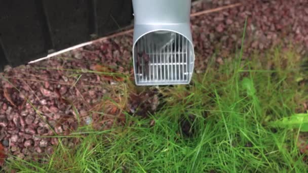 Close View Rain Water Running Drain Pipe Sweden — Stock Video