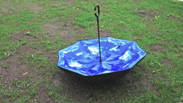 Krótki Film Pokazujący Pogodę Deszczową Parasol Zielonym Trawniku Koncepcja Pory — Wideo stockowe