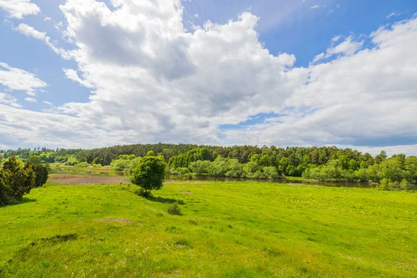 Orman ve yeşil çayırlar arasında akan nehrin güzel manzarası beyaz bulutlu mavi gökyüzüne karşı. İsveç.