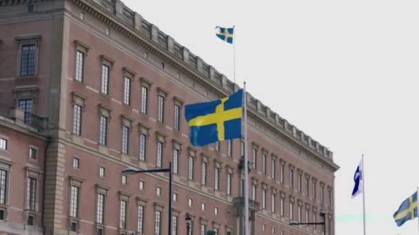 瑞典和芬兰国旗在瑞典斯德哥尔摩王室所在地附近的美丽景色 — 图库视频影像
