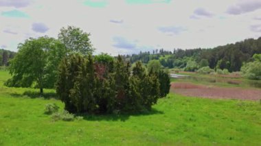 Orman ve yeşil çayırlar arasında akan nehrin güzel manzarası beyaz bulutlu mavi gökyüzüne karşı. İsveç.