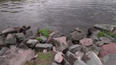 Güzel doğa manzarası. Yaz günü büyük göl kıyısının kayalık manzarası. İsveç.