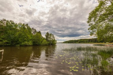 Doğal manzaranın güzel manzarası. Sakin su gölü yüzeyi, yeşil orman ağaçları ve gri beyaz bulutlu gökyüzü. İsveç.