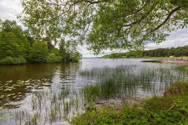 水面に映る湖の周りの木々や植物の美しい自然景観 スウェーデン — ストック写真