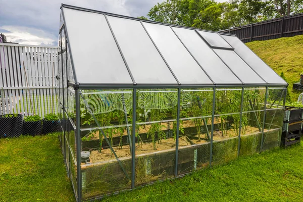 Close Exterior View Private Small Garden Greenhouse Growing Vegetables Sweden — Stockfoto