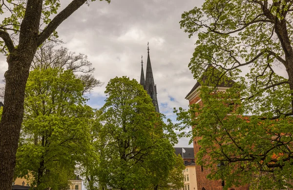 Krásný Výhled Katedrálu Kostelní Věže Přes Zelené Koruny Stromů Švédsko — Stock fotografie
