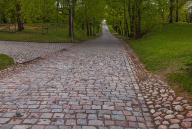 Yazın eski kaldırım taşı kaldırım geçidi olan güzel bir park manzarası. İsveç.