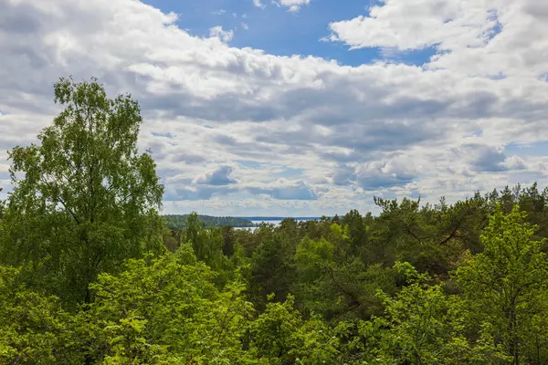 Beautiful Top View Forest Landscape Panorama Large Lake Background Sweden — ストック写真