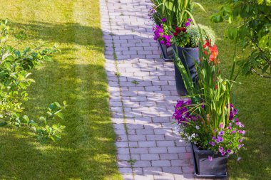 Üç çiçek tarlasının filizlendiği güzel bir bahçe manzarası. Gladiolus ve diğer çiçekler. İsveç.
