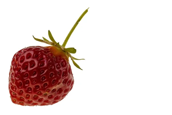 Close View Ripe Red Strawberry Isolated White Background — Foto de Stock