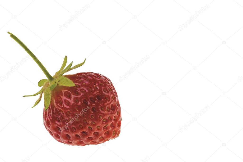 Macro view of red strawberry isolated on white background.