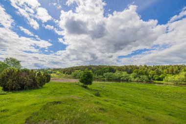 Orman ve yuvarlanan yeşil çayırlar arasında akan nehrin güzel manzarası beyaz bulutlu mavi gökyüzüne karşı. İsveç.