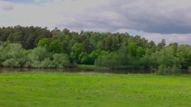 Orman ve yeşil çayırlar arasında akan nehrin güzel manzarası beyaz bulutlu mavi gökyüzüne karşı. İsveç.