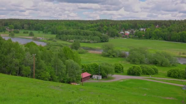 Amazing Top View Green Fields Green Forest Trees Flowing River — 비디오