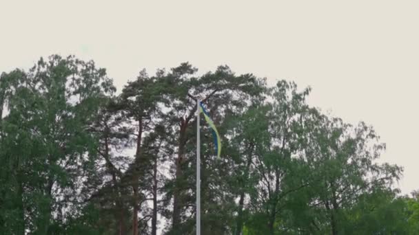 Beautiful View Pole Swedish Flag Fluttering Wind Background Green Tops — Stockvideo