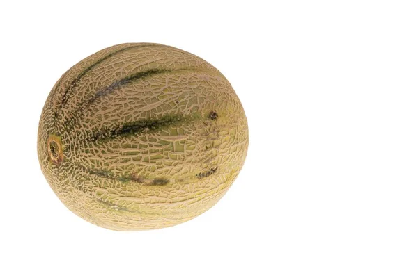 Close View Cantaloupe Melon Isolation White Background — Fotografia de Stock