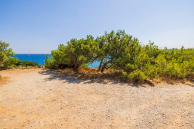 Beautiful view of Mediterranean sea through mountain pines. Grecce.
