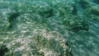 Beautiful view of seabed while snorkeling with colorful fishes. Greece.