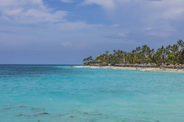 拥有棕榈树的沙鹰海滩的壮丽景象 阿鲁巴岛上碧绿的水面与地平线上的蓝天融合在一起 — 图库照片