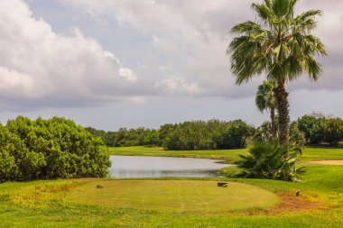 Küçük göletin önünde golf sahası olan doğanın güzel manzarası. Arka planda yeşil çalılar ve açık mavi gökyüzü. Aruba. 