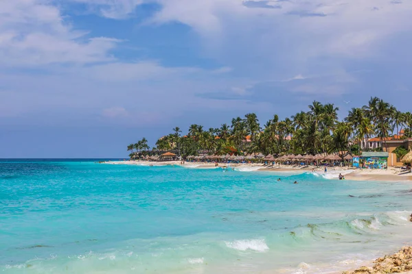 美丽的大西洋 阿鲁巴的白色沙滩 绿松石海水 绿色棕榈树 蓝天背景 — 图库照片
